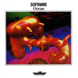 Software Visions