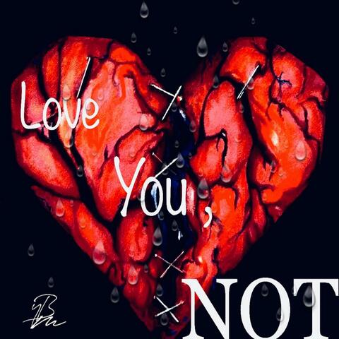 Love You, NOT