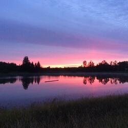 Sunrise