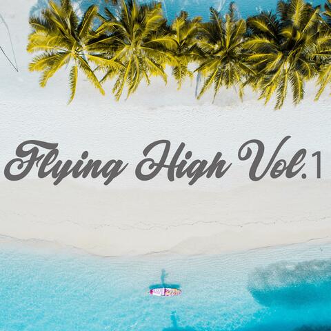 Flying High, Vol. 1
