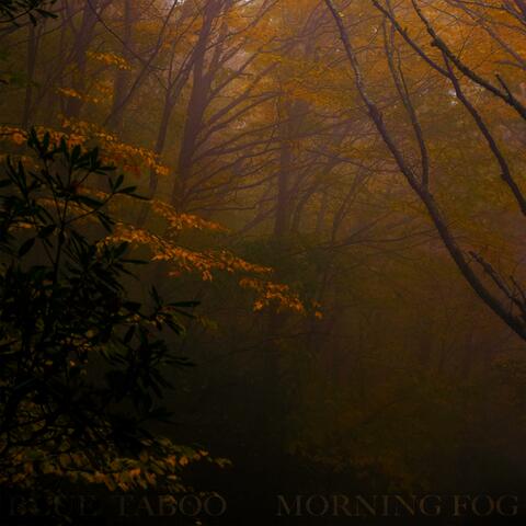 Morning Fog
