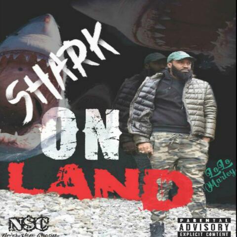 Shark on Land
