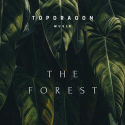 The Forest