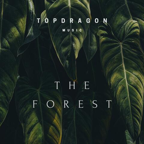 The Forest