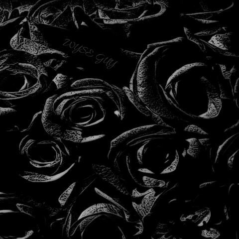 Black Roses..