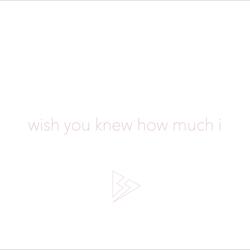Wish You Knew How Much I