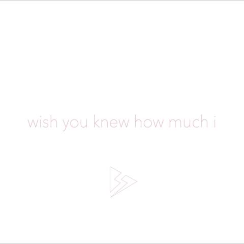 Wish You Knew How Much I