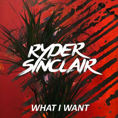 What I Want