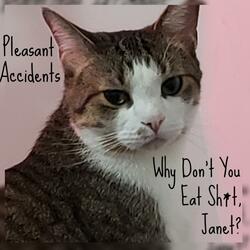Why Don't You Eat Shit, Janet?