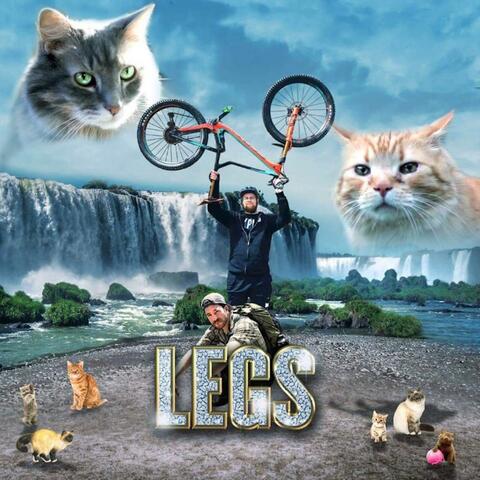 Legs