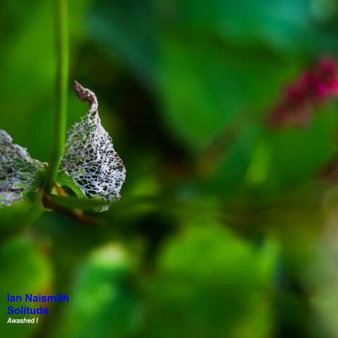 Awashed I (Solitude)
