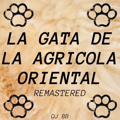 La Gata de la Agricola Oriental
