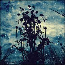 New Moon Libra
