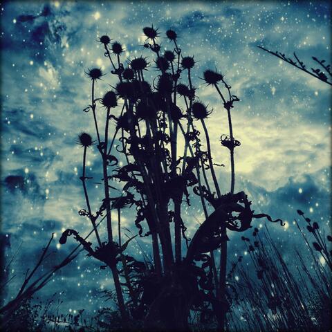 New Moon Libra