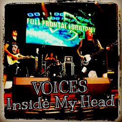 Voices Inside My Head (feat. DJ Pig Z)