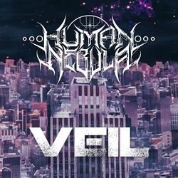 Veil