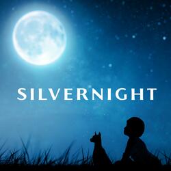 Silvernight