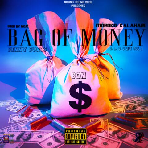 Bag of Money