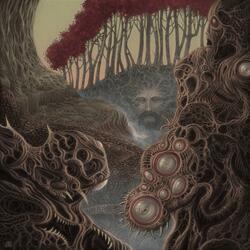 Hieronymus: Matricidadl Lineage