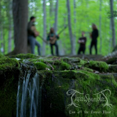 Live Off the Forest Floor