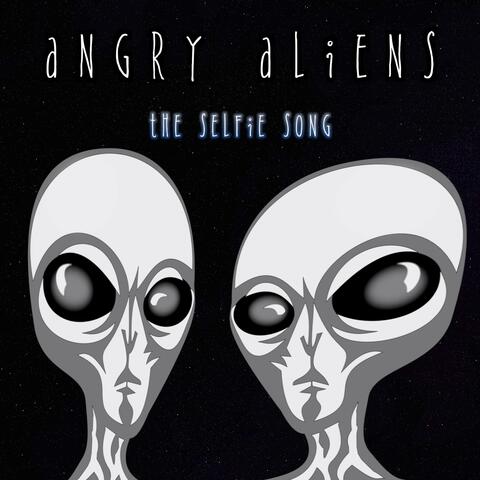 The Selfie Song