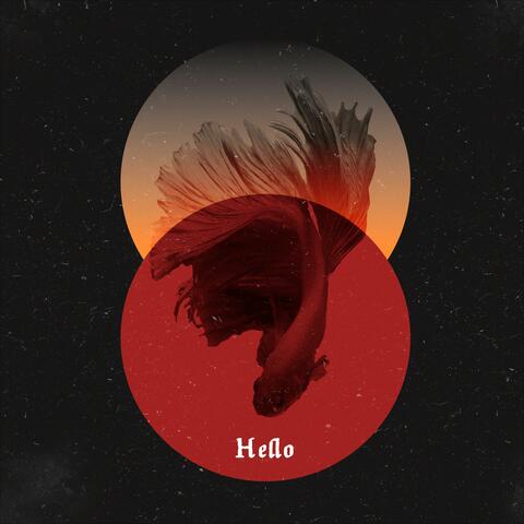 Hello