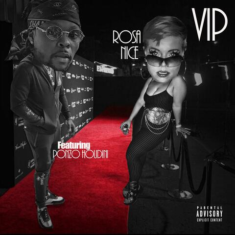 VIP (feat. Ponzo Houdini)