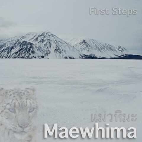 First Steps