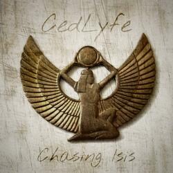 Why Are You So Miserable