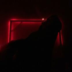 Don't Say I Didn't Warn You