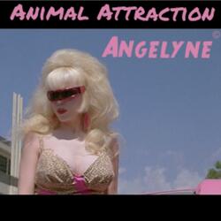 Animal Attraction