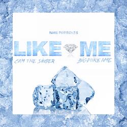 Like Me (feat. Cam the Singer)