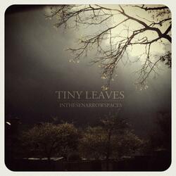 In These Narrow Spaces (Pt.1 & 2)