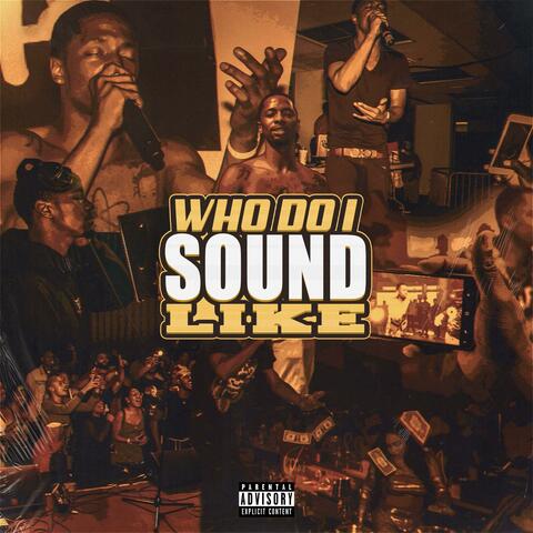 WHO DO I Sound Like ?