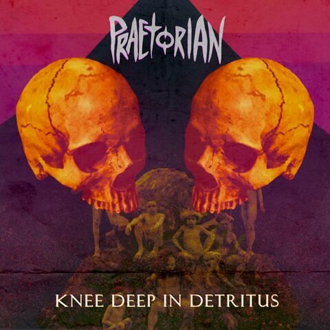 Knee Deep in Detritus
