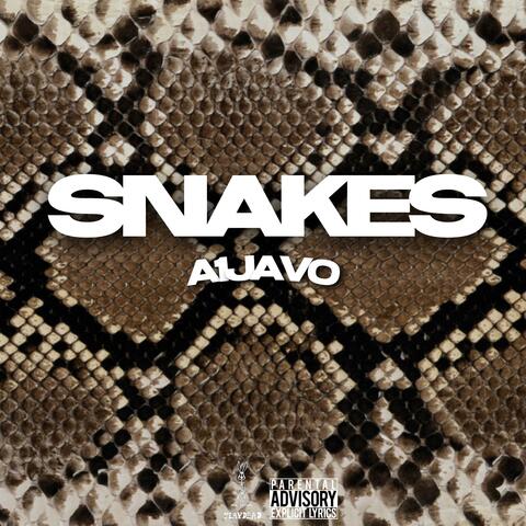 Snakes