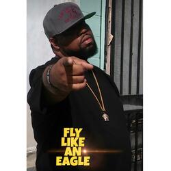 Fly Like an Eagle