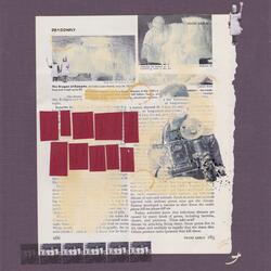 Diane Arbus (Diane Arbus)