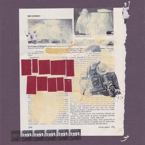 Diane Arbus (Diane Arbus)