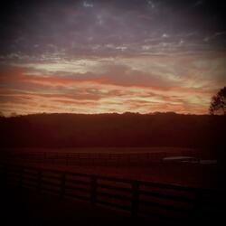 Audible Sunrise (Interlude)