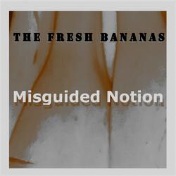 Misguided Notion