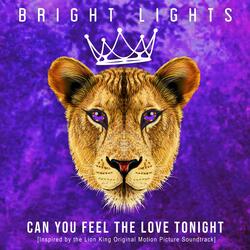 Can You Feel the Love Tonight