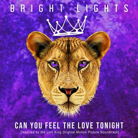Can You Feel the Love Tonight