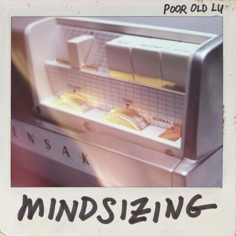 Mindsizing