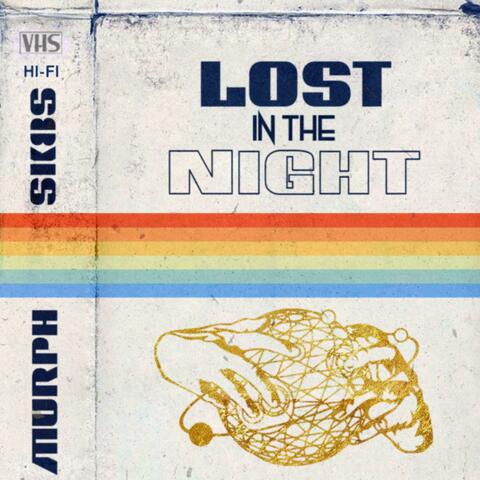 Lost in the Night