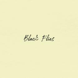Black Flies