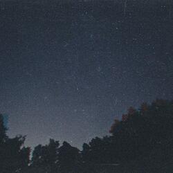 Carina