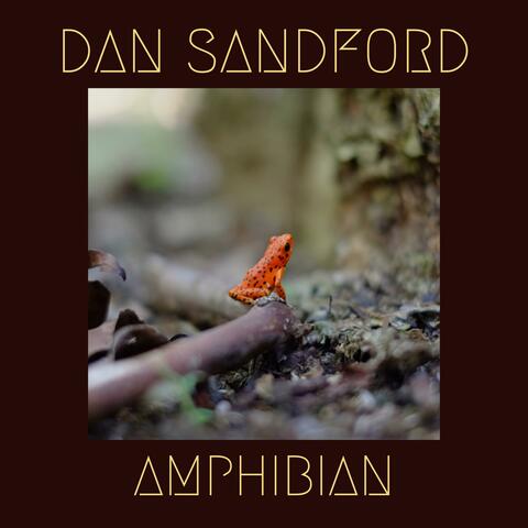 Amphibian