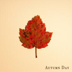 Autumn Day