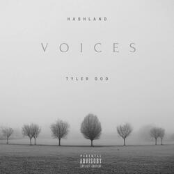 voices